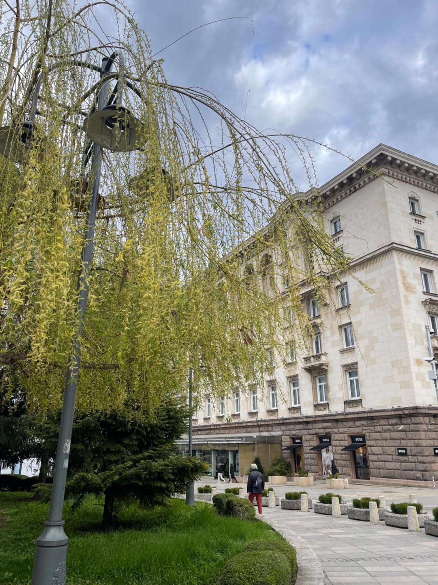 Sofia Balkan Palace Ngoại thất bức ảnh